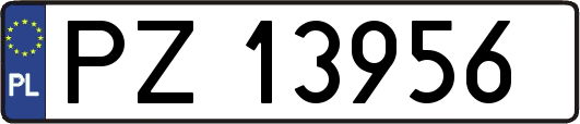 PZ13956