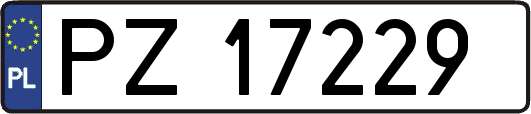 PZ17229