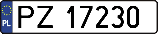 PZ17230