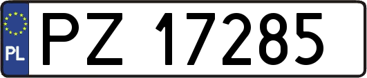 PZ17285