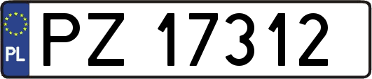 PZ17312
