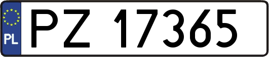 PZ17365