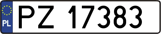 PZ17383