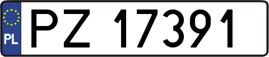 PZ17391