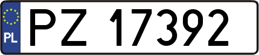 PZ17392