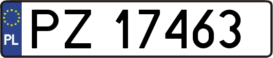 PZ17463