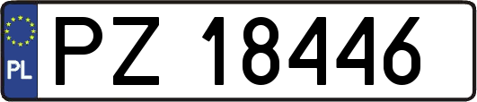 PZ18446