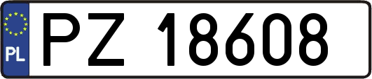 PZ18608