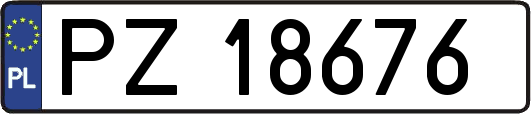PZ18676