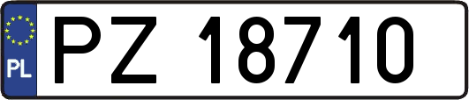 PZ18710
