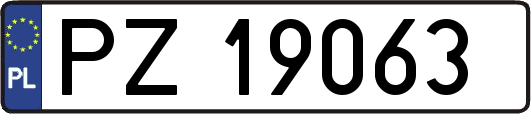 PZ19063