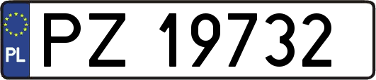 PZ19732