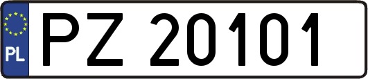 PZ20101