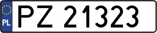 PZ21323