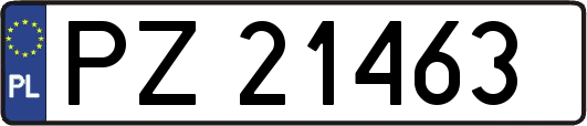 PZ21463