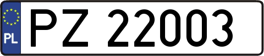 PZ22003