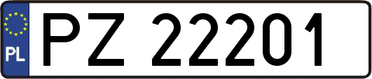 PZ22201