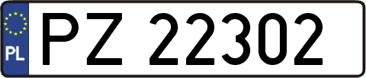 PZ22302