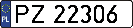 PZ22306