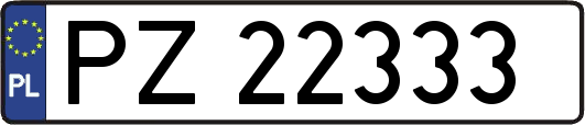PZ22333