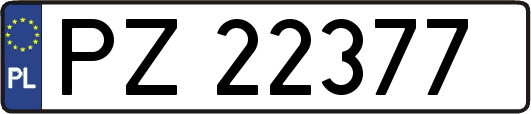 PZ22377