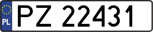 PZ22431