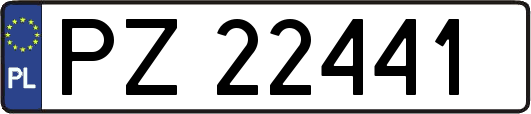 PZ22441