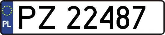 PZ22487