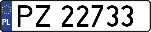 PZ22733