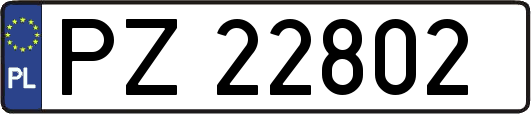 PZ22802