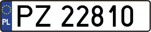 PZ22810