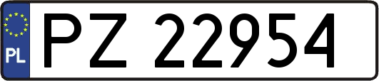 PZ22954