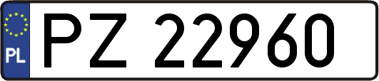 PZ22960