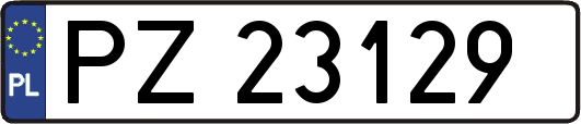 PZ23129