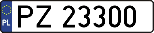 PZ23300