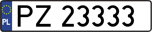 PZ23333