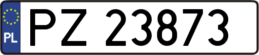 PZ23873