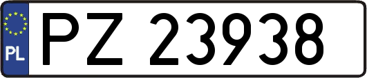 PZ23938