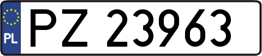 PZ23963