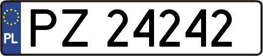 PZ24242