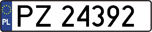 PZ24392