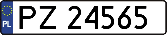 PZ24565