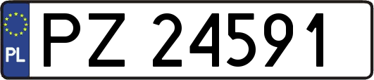 PZ24591