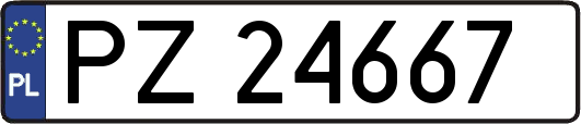 PZ24667