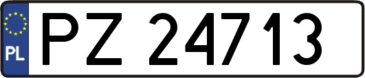 PZ24713