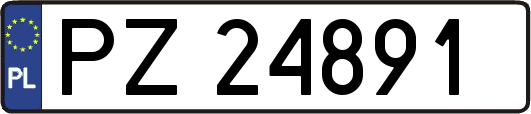 PZ24891