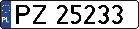 PZ25233