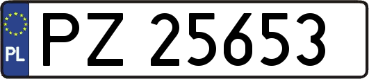 PZ25653