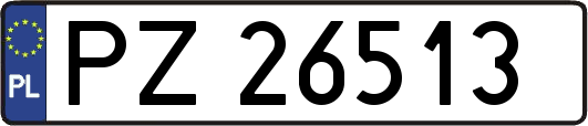 PZ26513