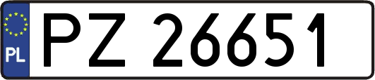 PZ26651
